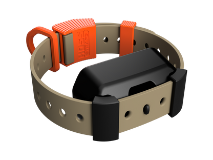 Training Collar Setup