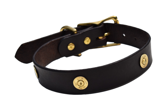 Dog Collar Decorated With Shotgun Shells