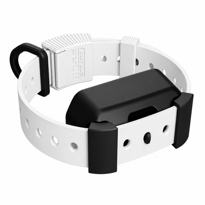 Training Collar Setup