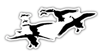 Waterfowl Decals Ultimate 5pc Goose Stickers