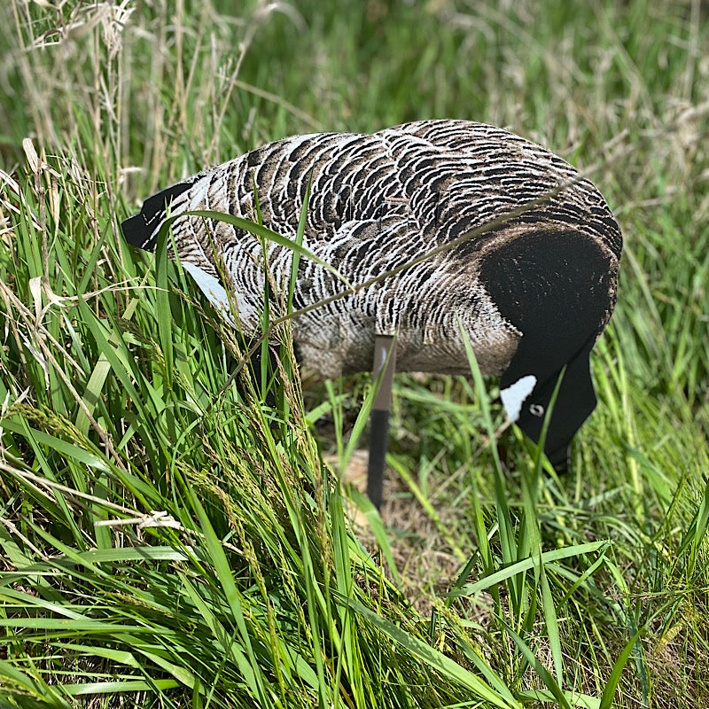 Magnum Lite 3D Canada Geese