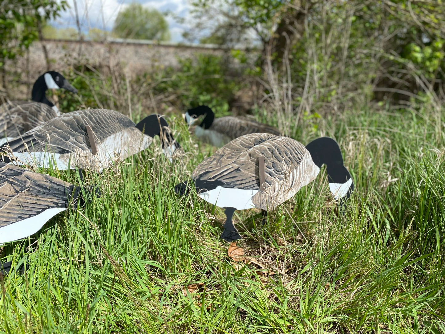 Magnum Lite 3D Canada Geese