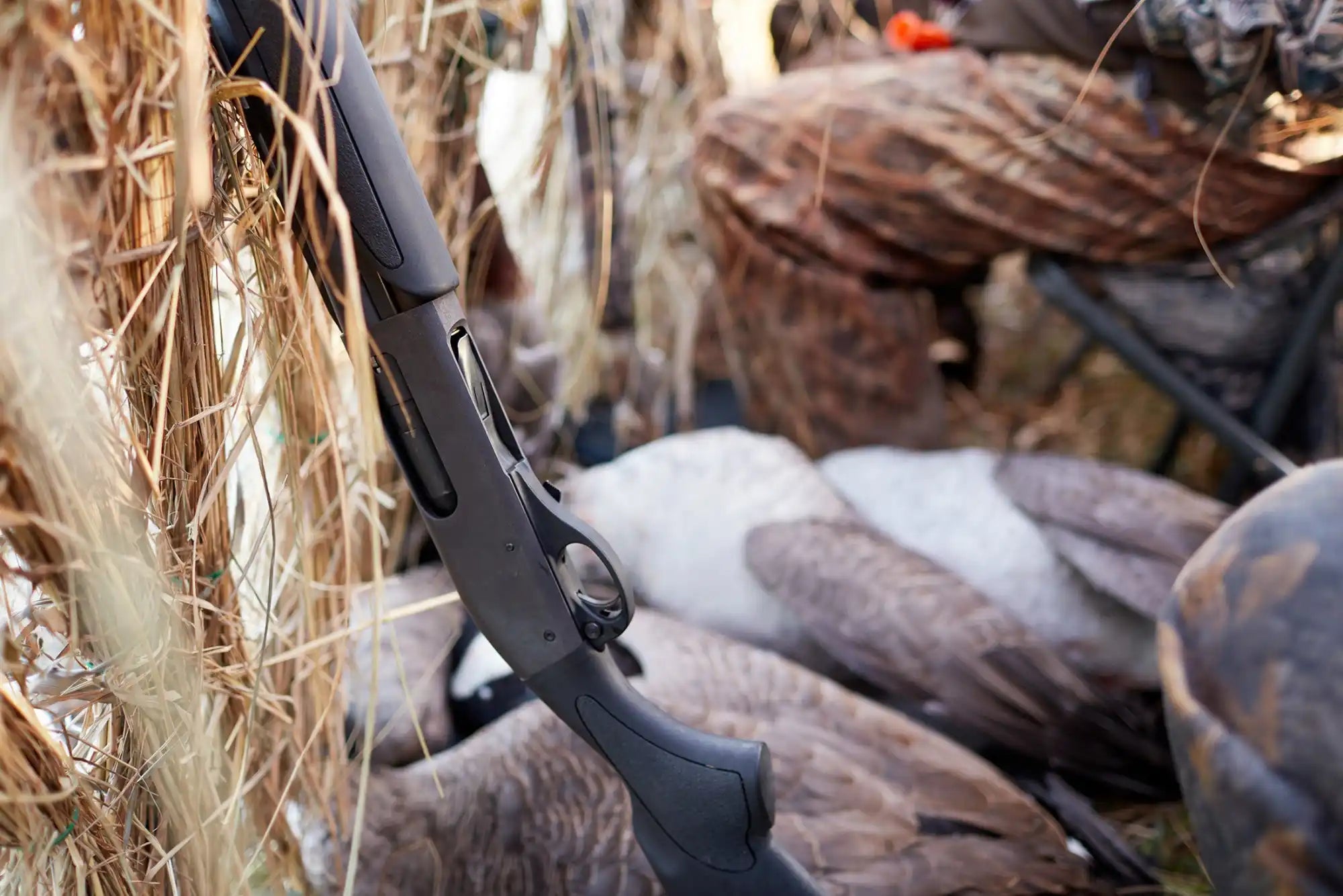 The Fowl Depot