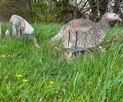 Econo Turkey Decoys