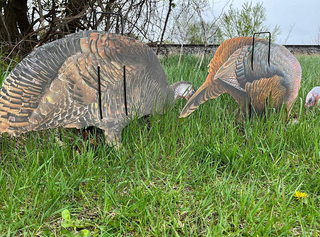 Econo Turkey Decoys
