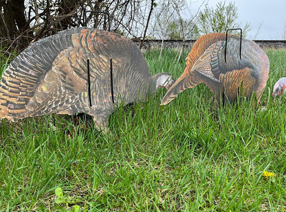 Econo Turkey Decoys