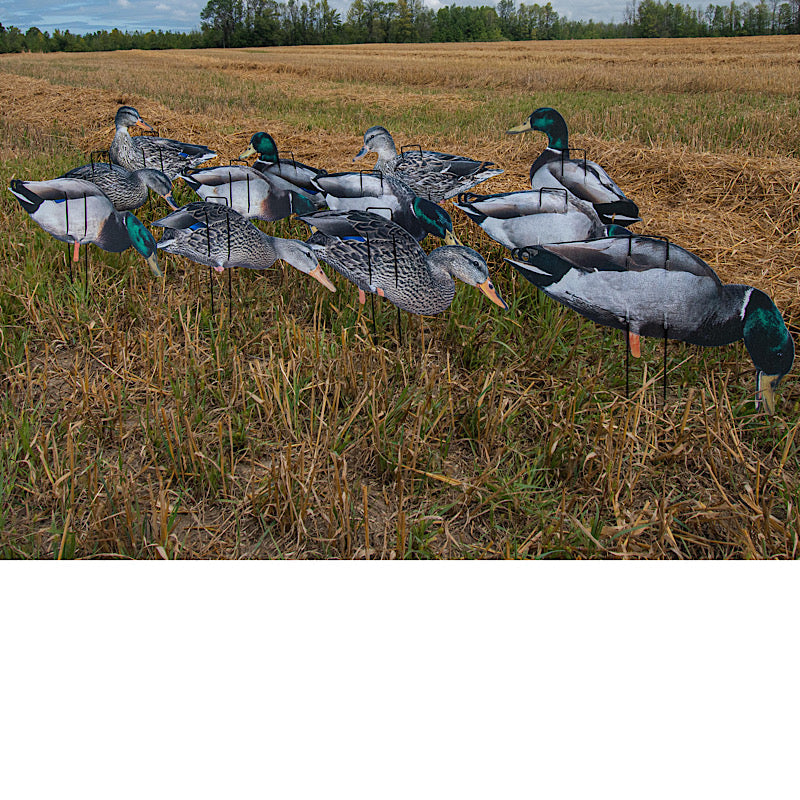 Our Econo Mallard silhouette decoys are made of a light weight corrugated plastic material with our fabric on both sides. Printed with a detailed feather pattern, using a dead flat finish. A unique, double wire staking system helps with structural integri