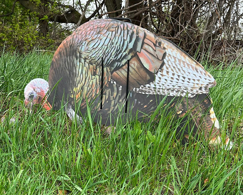 Econo Turkey Decoys