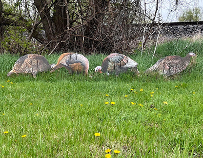 Econo Turkey Decoys