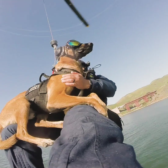 Rex Specs lenses are all engineered from premium materials to provide protection from anything your dog may encounter. All of our lenses are impact resistant and UV 400 rated, blocking 99% of harmful UVA and UVB rays. Below is our lens guide to help you d