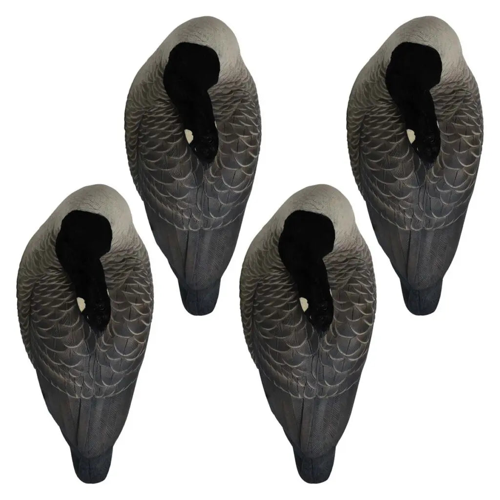 Enhance your waterfowl hunting with the Rugged Series Flocked Head Full Body Canada Sleeper 4-Pack. Built with durable FowlFlex™ Technology for ultimate endurance. Witness natural movement with TruMotion™2.0 motion even with a gentle breeze. The true-to-l