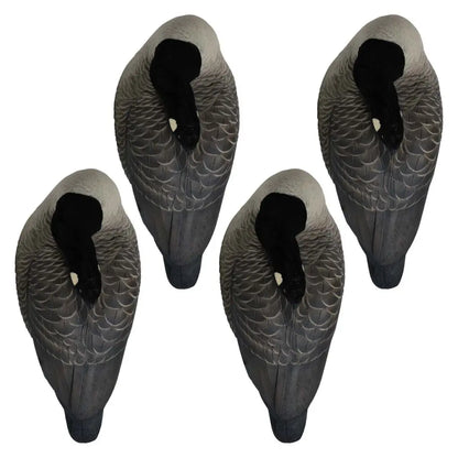 Enhance your waterfowl hunting with the Rugged Series Flocked Head Full Body Canada Sleeper 4-Pack. Built with durable FowlFlex™ Technology for ultimate endurance. Witness natural movement with TruMotion™2.0 motion even with a gentle breeze. The true-to-l