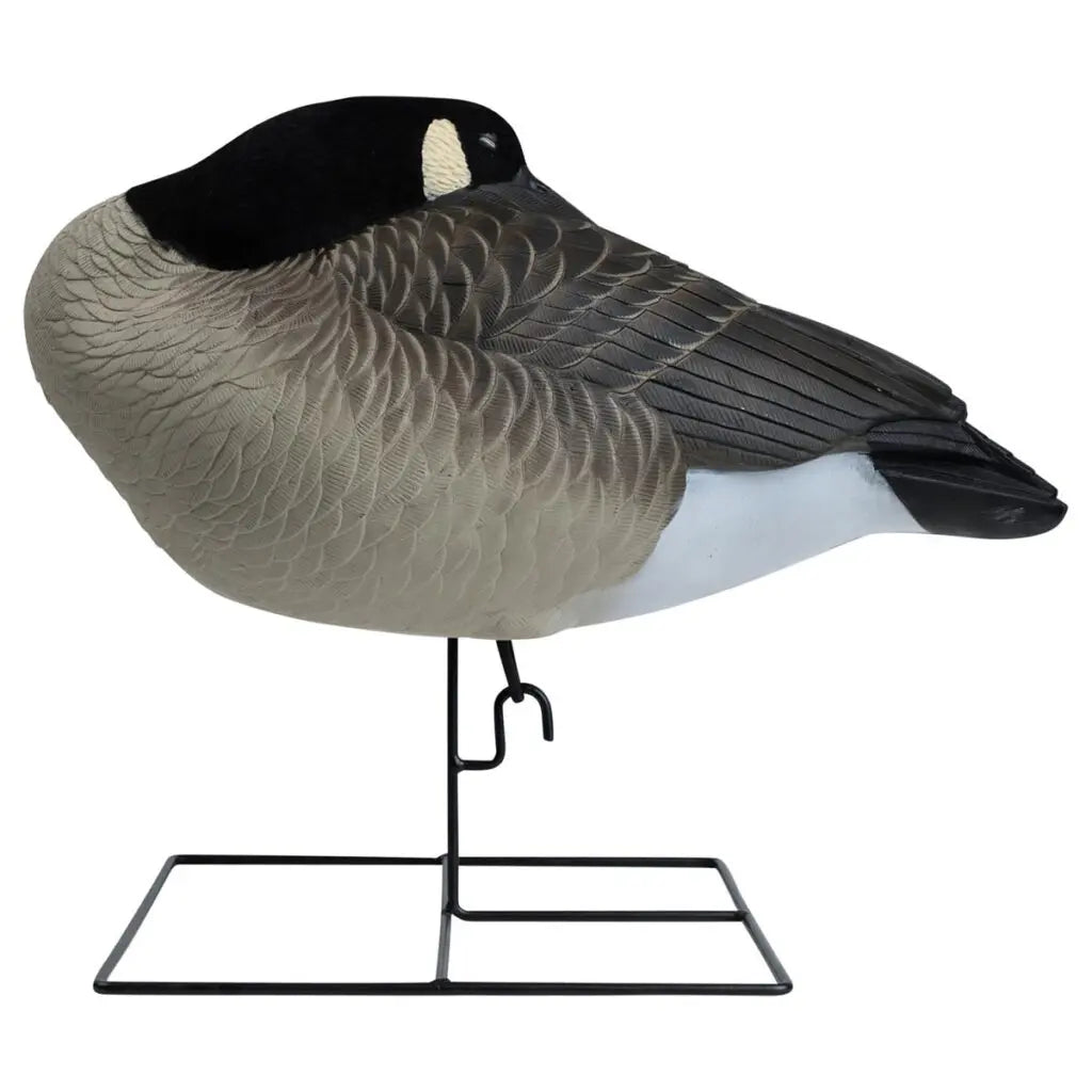 Enhance your waterfowl hunting with the Rugged Series Flocked Head Full Body Canada Sleeper 4-Pack. Built with durable FowlFlex™ Technology for ultimate endurance. Witness natural movement with TruMotion™2.0 motion even with a gentle breeze. The true-to-l