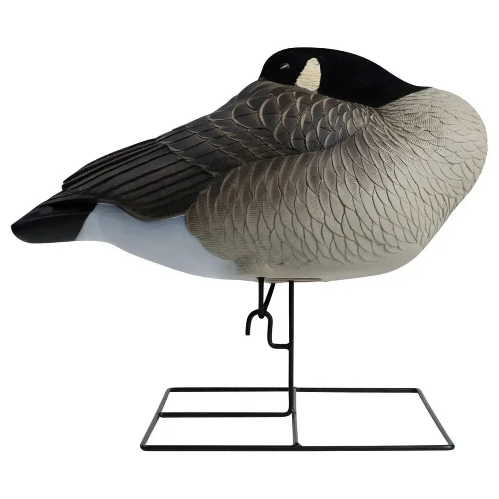 Enhance your waterfowl hunting with the Rugged Series Flocked Head Full Body Canada Sleeper 4-Pack. Built with durable FowlFlex™ Technology for ultimate endurance. Witness natural movement with TruMotion™2.0 motion even with a gentle breeze. The true-to-l