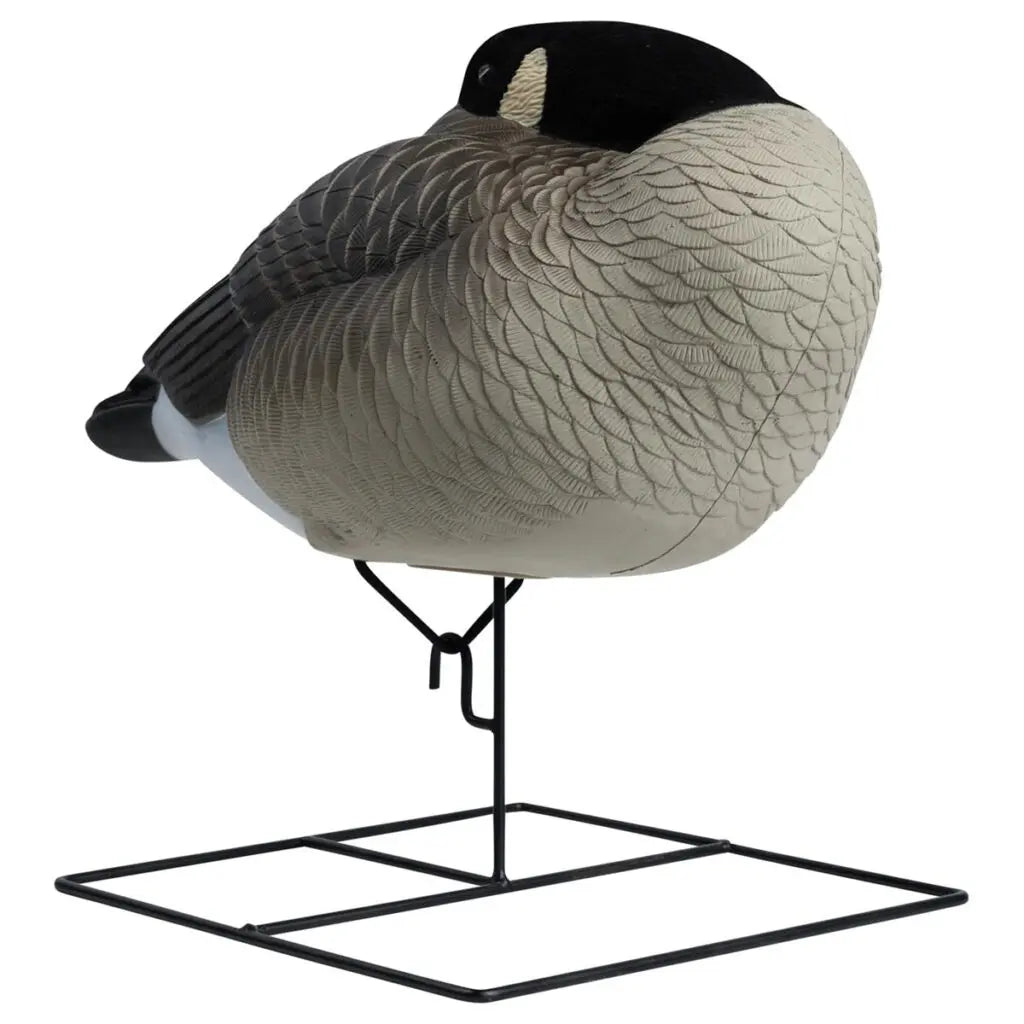 Enhance your waterfowl hunting with the Rugged Series Flocked Head Full Body Canada Sleeper 4-Pack. Built with durable FowlFlex™ Technology for ultimate endurance. Witness natural movement with TruMotion™2.0 motion even with a gentle breeze. The true-to-l