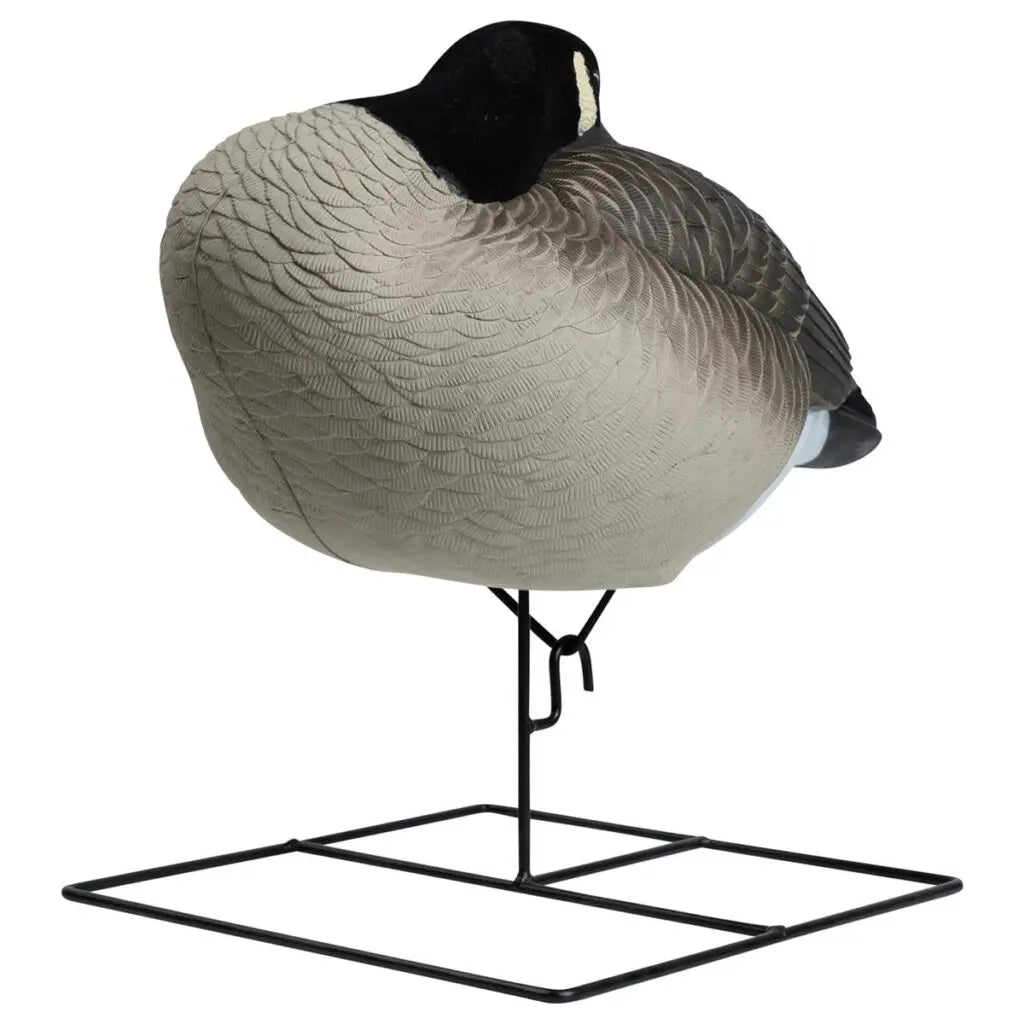 Enhance your waterfowl hunting with the Rugged Series Flocked Head Full Body Canada Sleeper 4-Pack. Built with durable FowlFlex™ Technology for ultimate endurance. Witness natural movement with TruMotion™2.0 motion even with a gentle breeze. The true-to-l