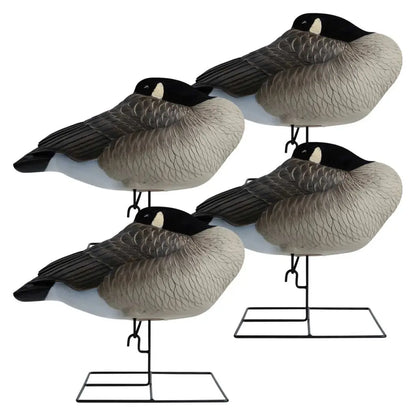 Enhance your waterfowl hunting with the Rugged Series Flocked Head Full Body Canada Sleeper 4-Pack. Built with durable FowlFlex™ Technology for ultimate endurance. Witness natural movement with TruMotion™2.0 motion even with a gentle breeze. The true-to-l