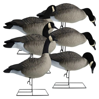Hardcore’s commitment to excellence shines through in our Rugged Series Full Body Canada Goose Touchdown Decoys with Flocked Heads. With a relentless dedication to meeting customer demands, we’ve crafted decoys worthy of the Hardcore name. These one-piece