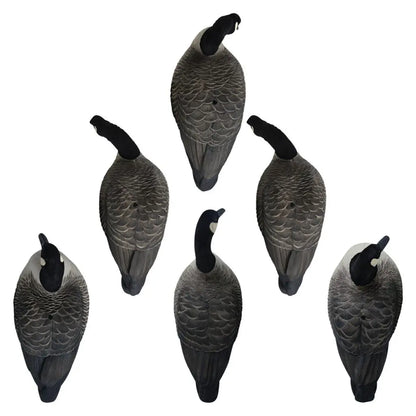 Hardcore’s commitment to excellence shines through in our Rugged Series Full Body Canada Goose Touchdown Decoys with Flocked Heads. With a relentless dedication to meeting customer demands, we’ve crafted decoys worthy of the Hardcore name. These one-piece