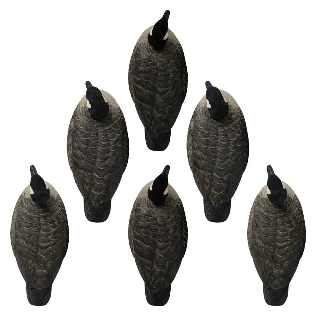 Elevate your waterfowl hunting with Rugged Series Lesser Canada Floaters – Flocked Head. Crafted with FowlFlex™ Technology, these ultra-durable one-piece decoys withstand abuse and deliver superior realism. The true-to-life paint schemes and intricate fea