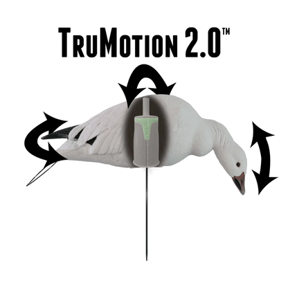 SNOW Goose Starter Kit – Essential Gear for Success Get ready for a successful goose hunt with the SNOW Goose Starter Kit, featuring must-have gear to bring more birds into your spread. This kit includes: Fullbody & Floaters (Hardcore Waterfowl) 2 DZN Rug