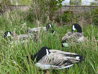 Ultimate Waterfowl Bundle – All The Gear You Will Need Get ready for a successful duck hunt with the Ultimate Waterfowl Bundle, featuring must-have gear to bring more birds into your spread. This kit includes: Silhouettes (Real Geese Decoys) 6 DZN Real Ge